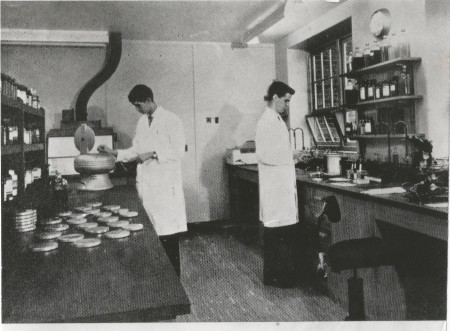 BVH80 bacteriology lab 1960s poss.jpg