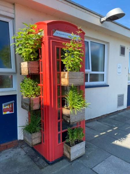 Butterfly-House-and-ex-phone-kiosk.jpg